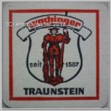 traunsteinwochinger (7).jpg
